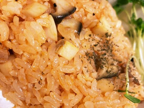 鴨肉で!少数精鋭チキンライス